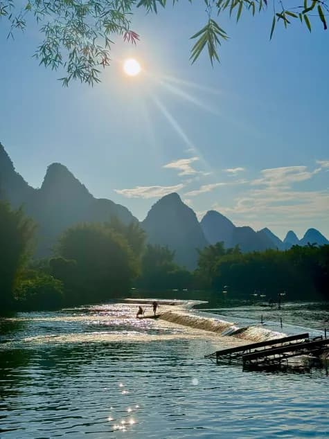 Sun through bamboo over a weir on the Li River