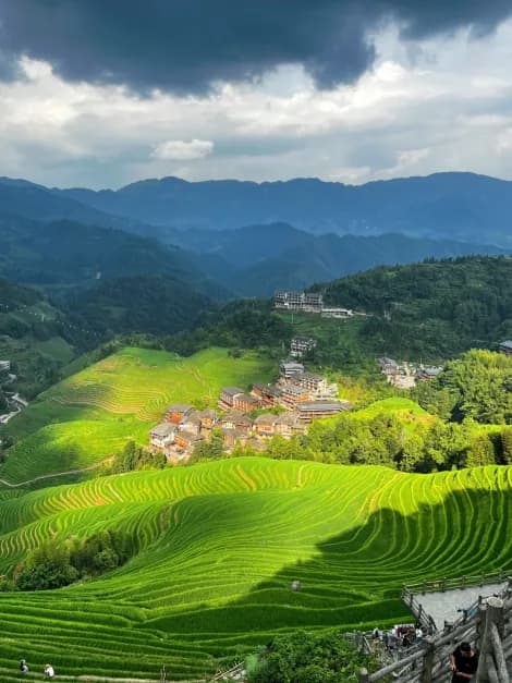 Green terraces stepping down to a timber village at Longji