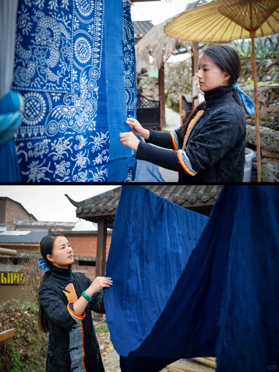 A Yao woman hanging indigo-dyed cloth to dry