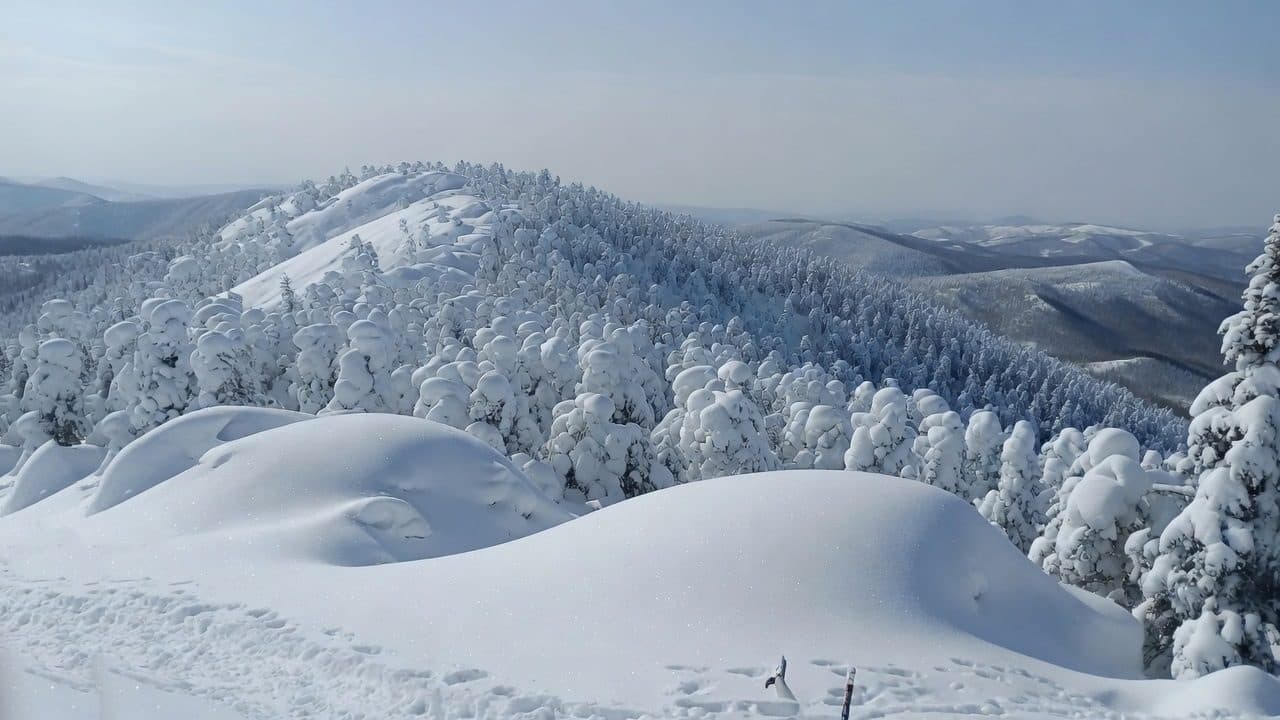 Rime-covered conifers on the ridge above Snow Valley, Heilongjiang