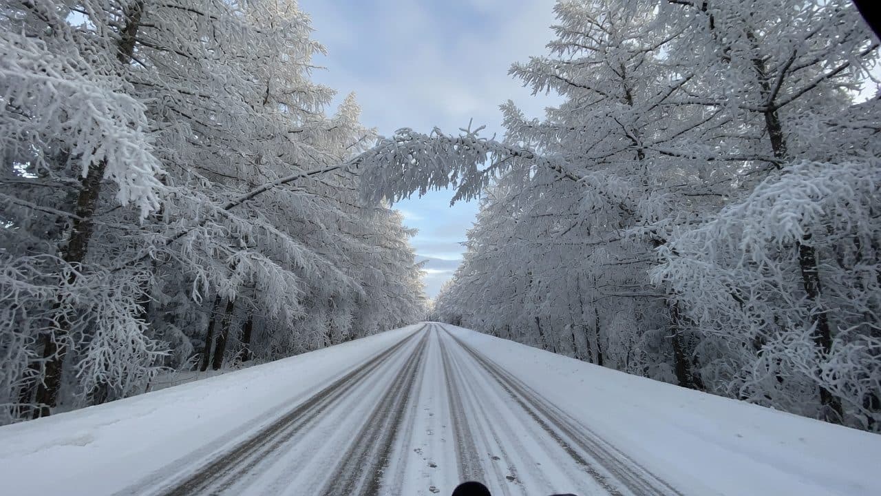 Rime-covered trees arching over the Ten-Mile Ice Gallery road