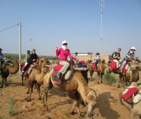 Group operated in 2013
