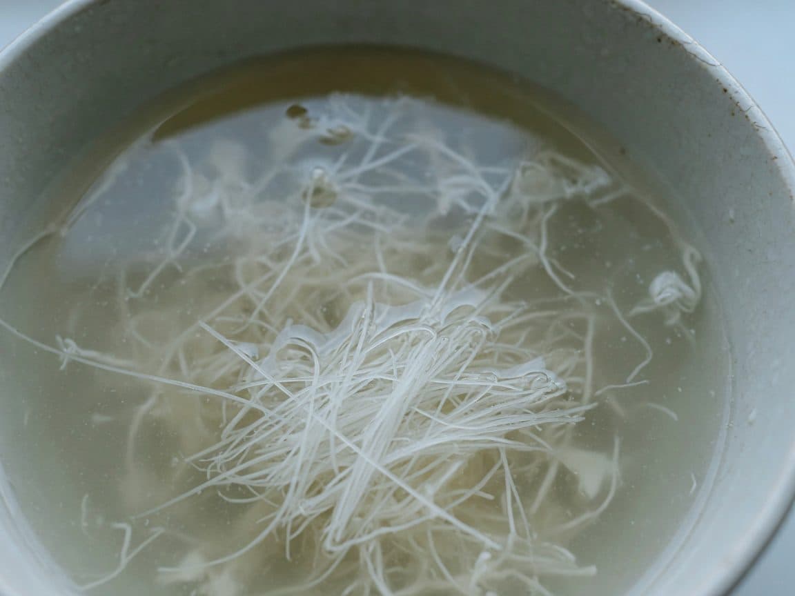 Hair-thin shredded tofu floating apart in clear soup, shot macro