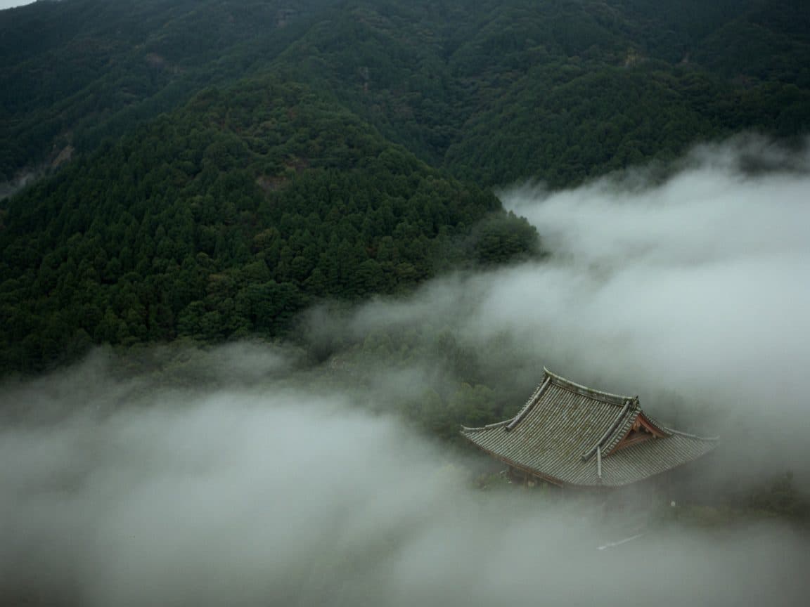 A temple roof breaking through cloud on a forested slope, seen from above